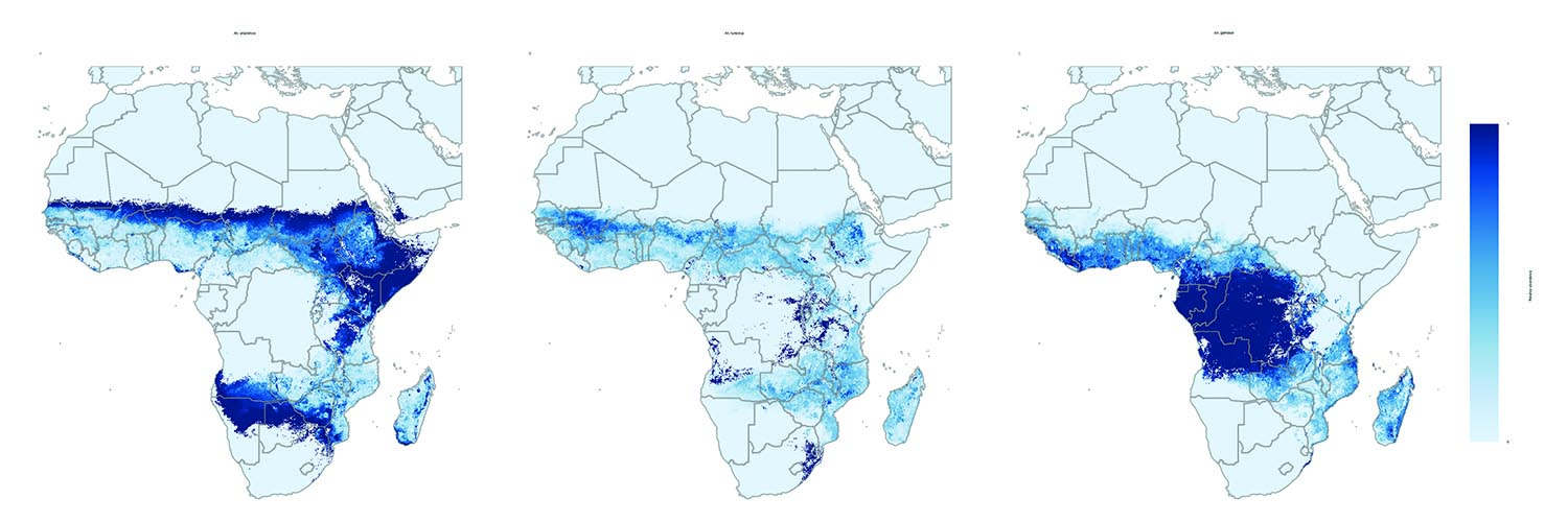 A graph depicting incidence of malaria in Africa