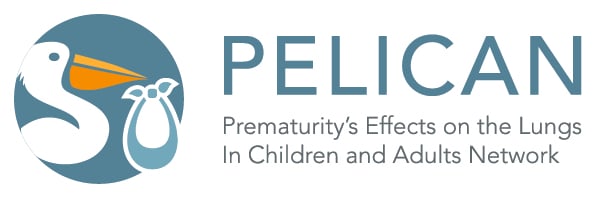 pelican logo